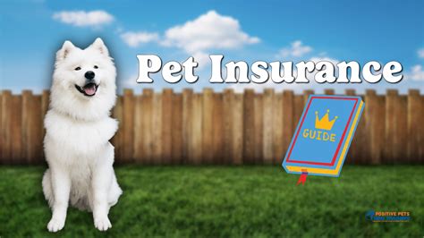 pet insurance whole life cover